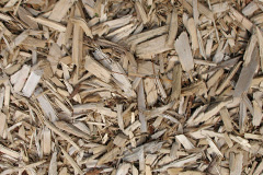 biomass boilers Ermington