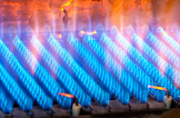 Ermington gas fired boilers